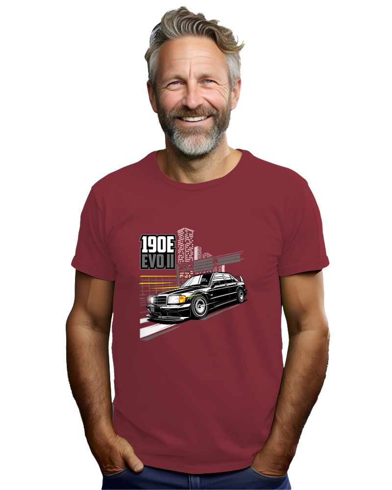 190E Evo 2 - Image 2
