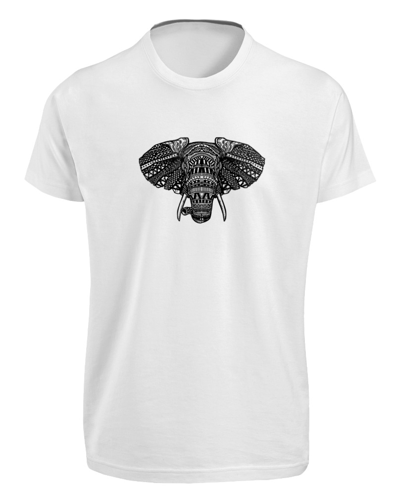 African Elephant - Image 0