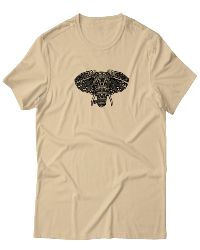 African Elephant - Image 0