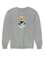Φούτερ χωρίς κουκούλα Αντρικό - Astronaut Bear - Color Thumbnail Γκρι Μελανζέ