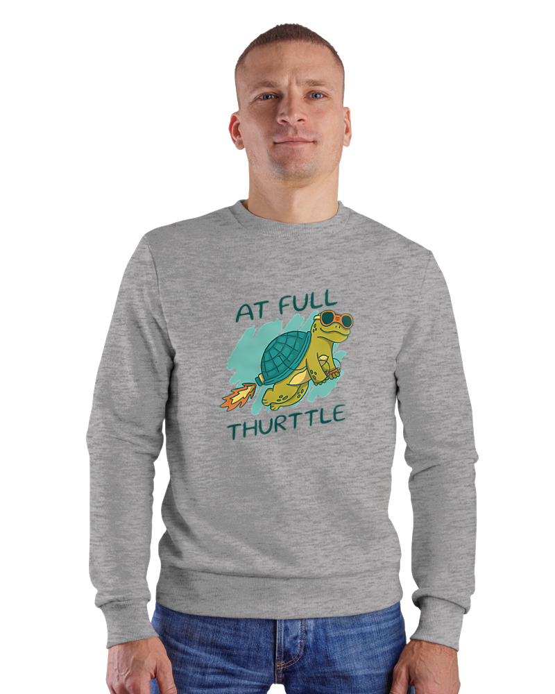 At Full Turtle - Image 1