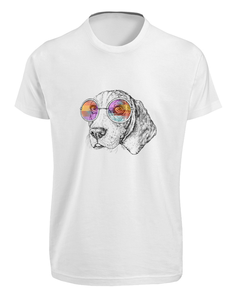Beagle Sunglasses - Image 0