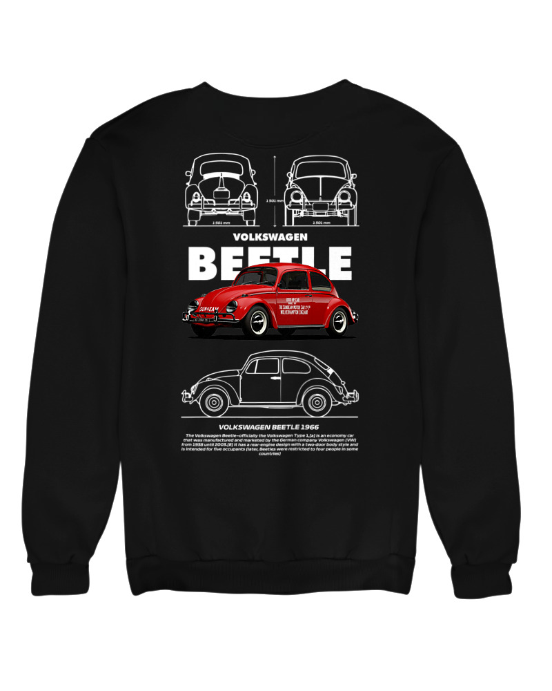 Beetle - Image 0