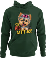 Φούτερ με κουκούλα - Big Attitude - Color Thumbnail Κυπαρισσί