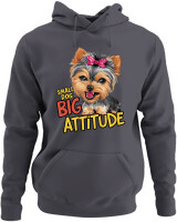 Φούτερ με κουκούλα - Big Attitude - Color Thumbnail Ανθρακί
