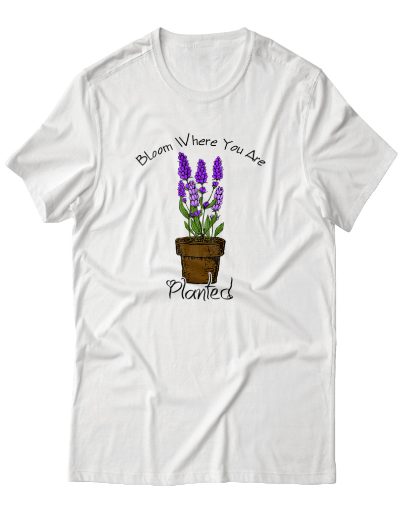 Blow Where You Are Planted