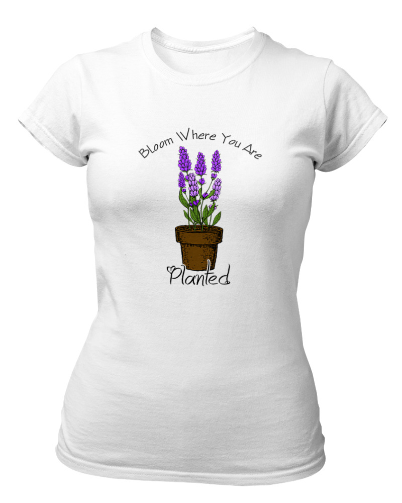 Blow Where You Are Planted