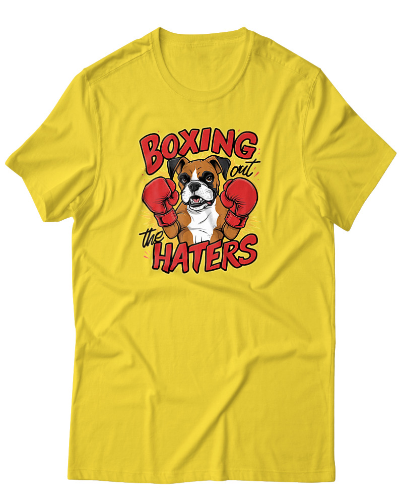 Boxing The Haters