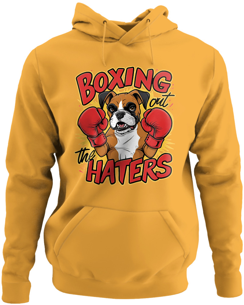 Boxing The Haters