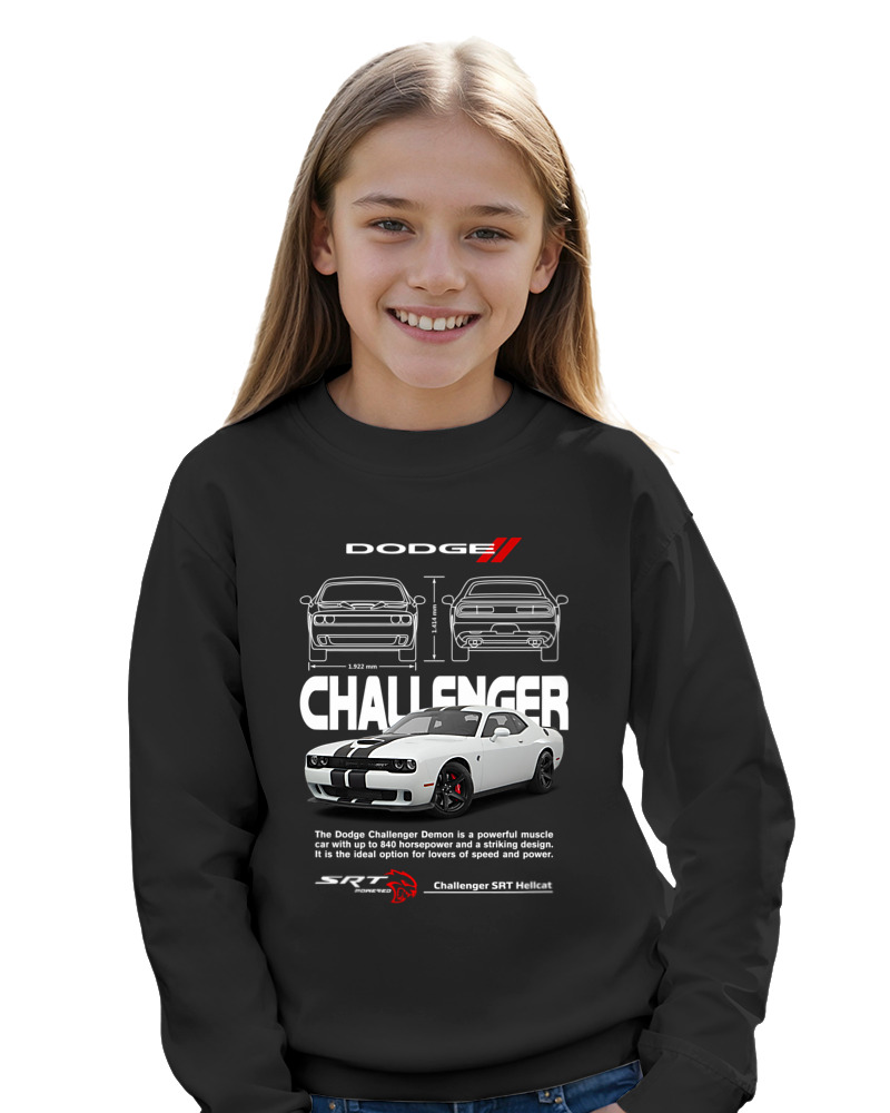 Challenger - Image 3
