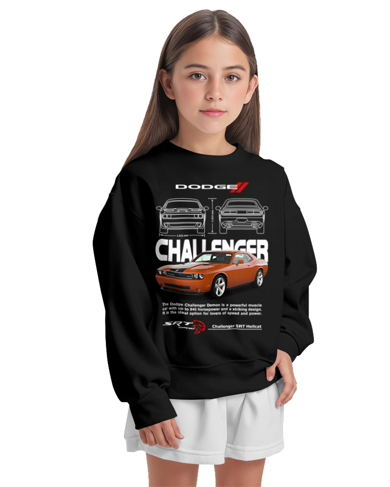 Challenger - Image 1