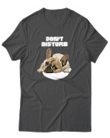 T-Shirt Αντρικό - Don't Disturb - Color Thumbnail Ανθρακί