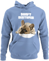 Φούτερ με κουκούλα - Don't Disturb - Color Thumbnail Blue Carolina