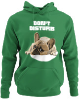 Φούτερ με κουκούλα - Don't Disturb - Color Thumbnail Kelly Green