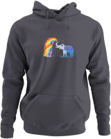 Φούτερ με κουκούλα - Elephant Rainbow - Color Thumbnail Ανθρακί