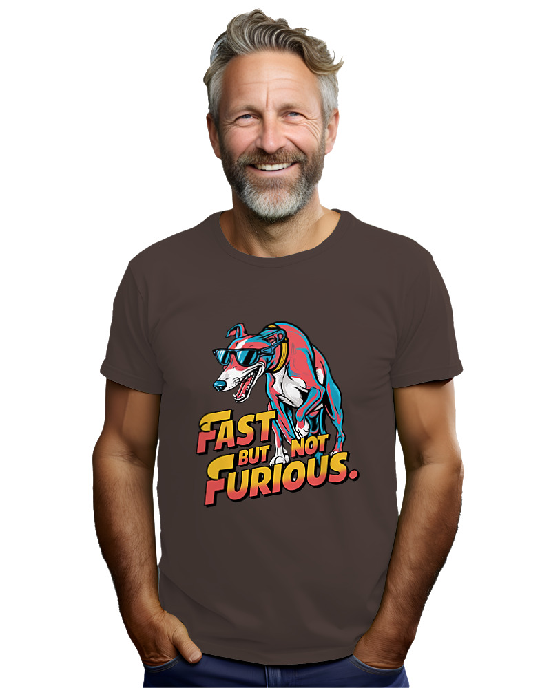 Fast But Not Furious - Image 2