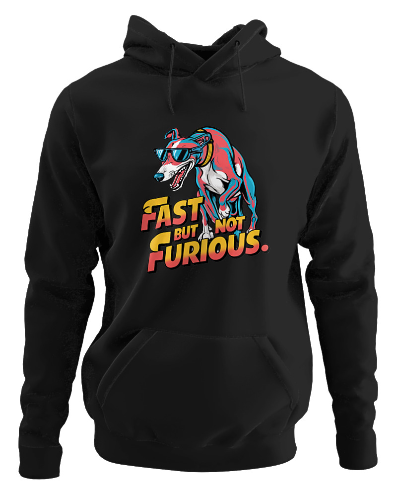 Fast But Not Furious