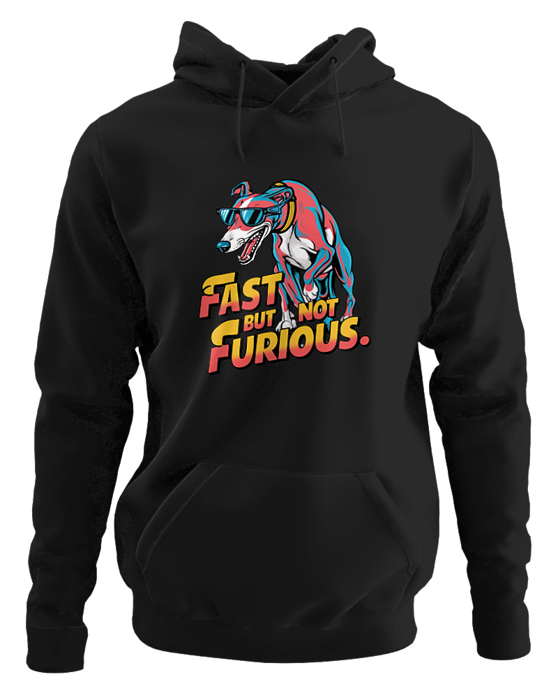 Fast But Not Furious