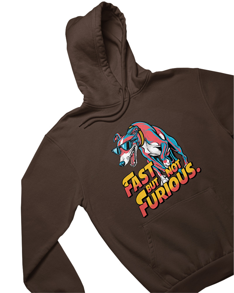 Fast But Not Furious - Image 1