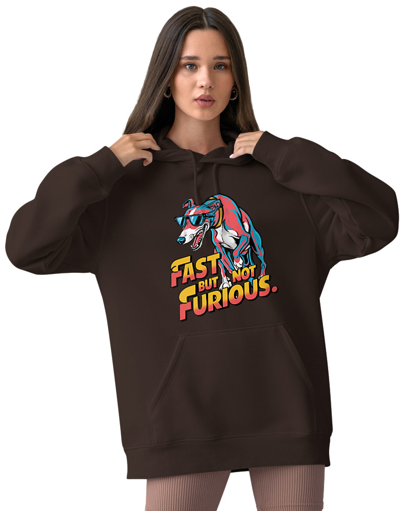 Fast But Not Furious - Image 2