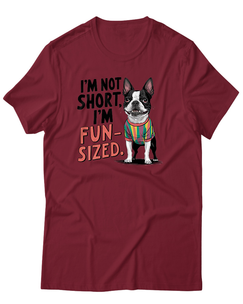 Funsized - Image 0