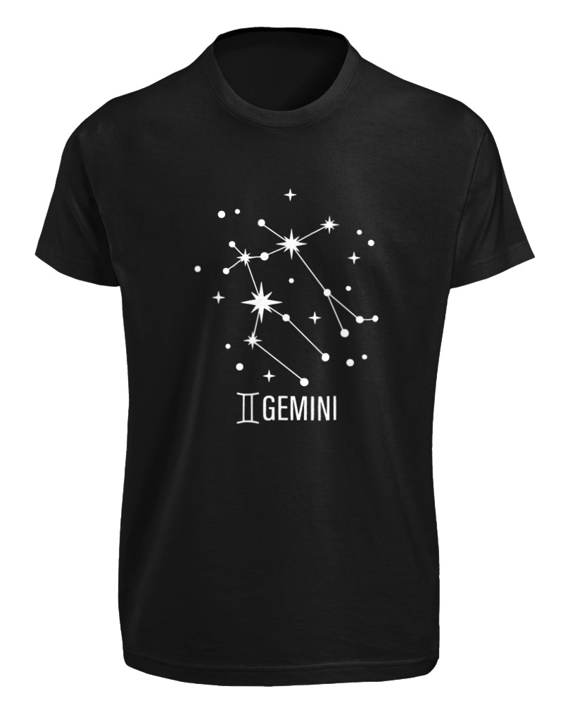 Gemini Universe