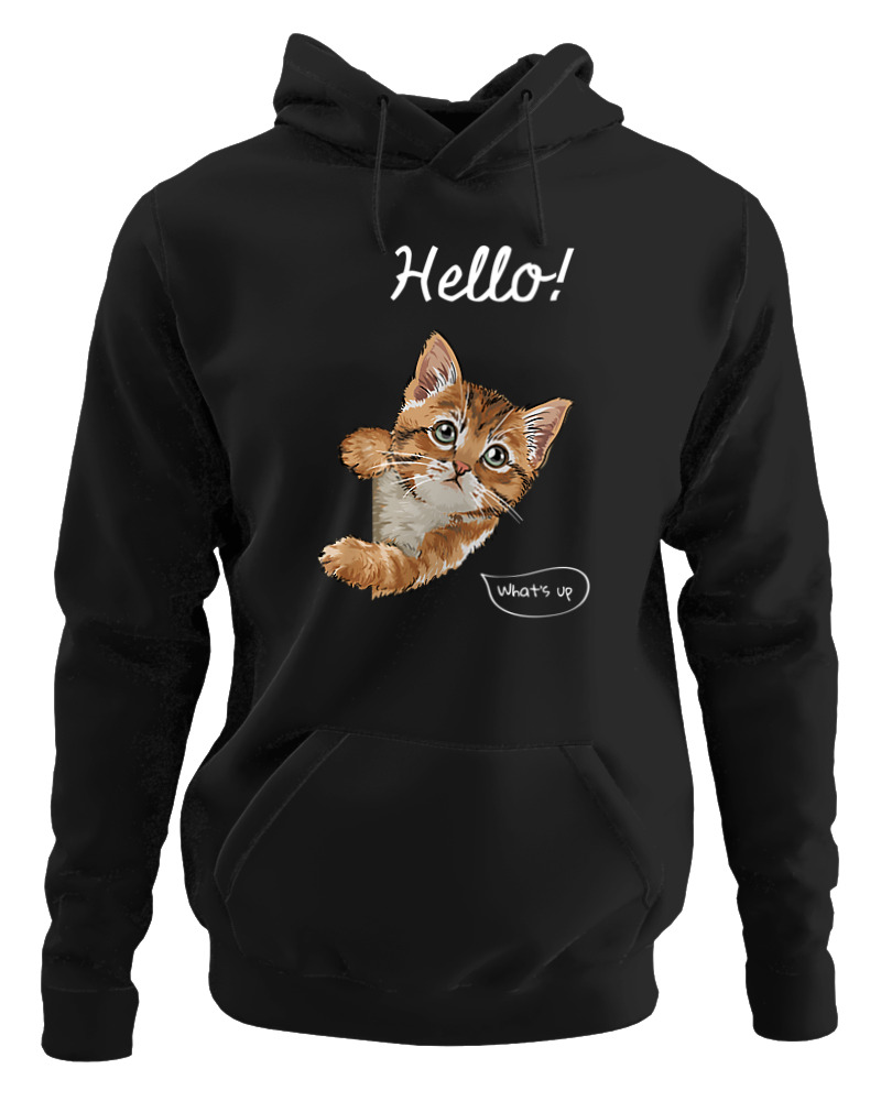 Hello Cat