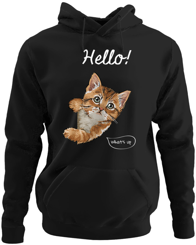 Hello Cat