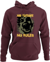 Φούτερ με κουκούλα - No Future No Rules - Color Thumbnail Marron