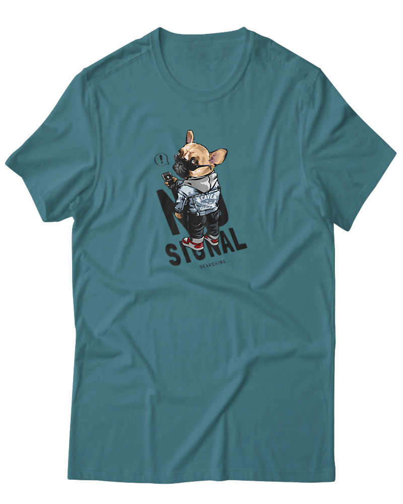 No Signal