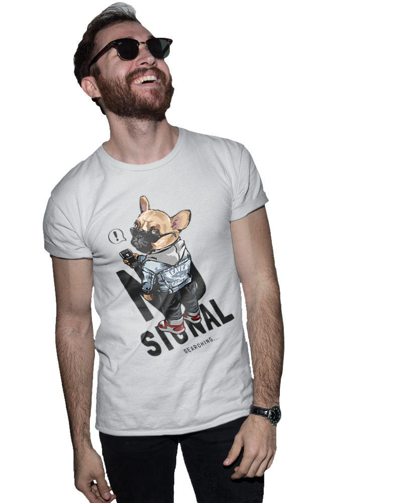 No Signal - Image 1