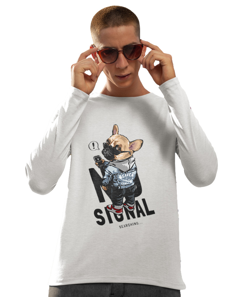 No Signal - Image 1