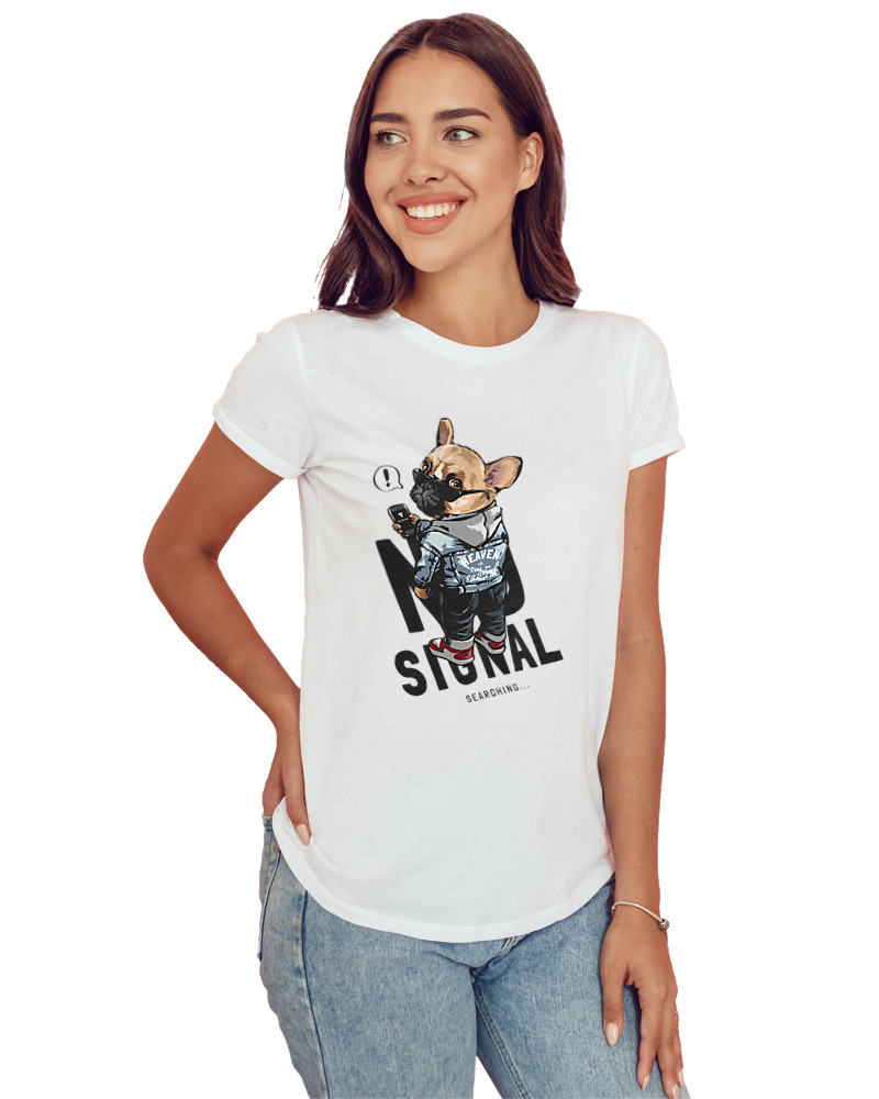 No Signal - Image 1