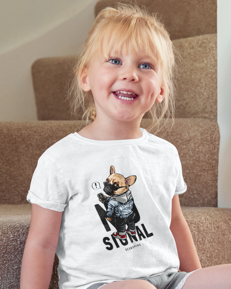 No Signal - Image 2