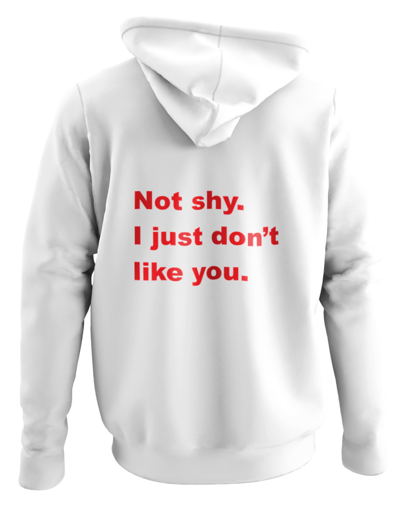 Not Shy I Just Dont Like You
