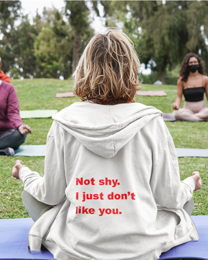 Not Shy I Just Dont Like You - Image 1