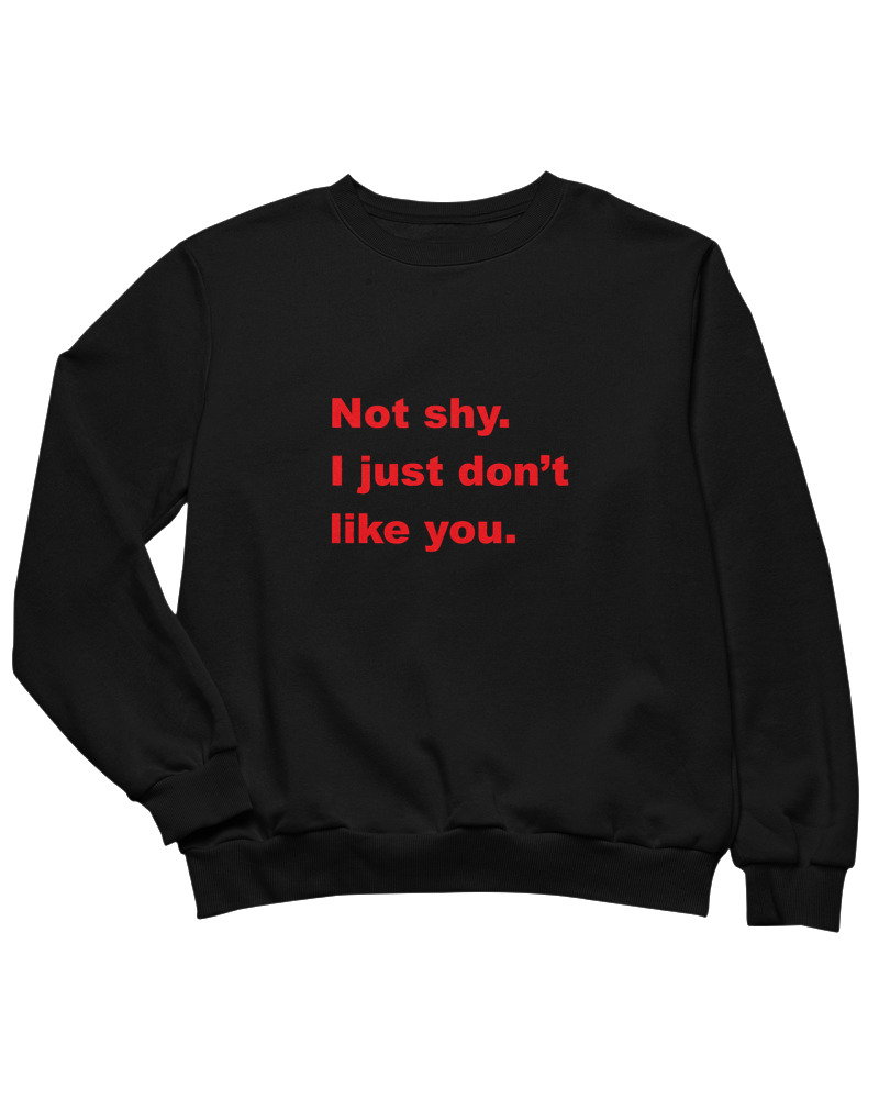 Not Shy I Just Dont Like You - Image 0