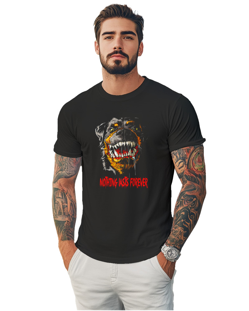 Rottweiler - Image 1