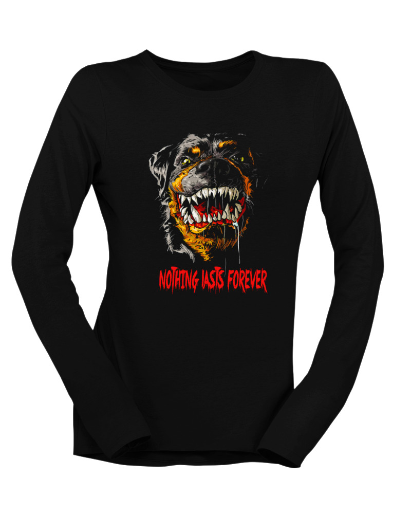 Rottweiler - Image 0