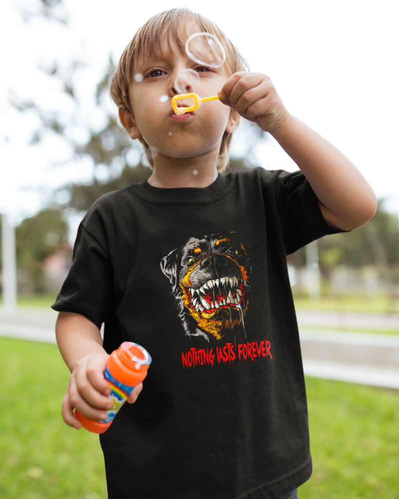 Rottweiler - Image 2