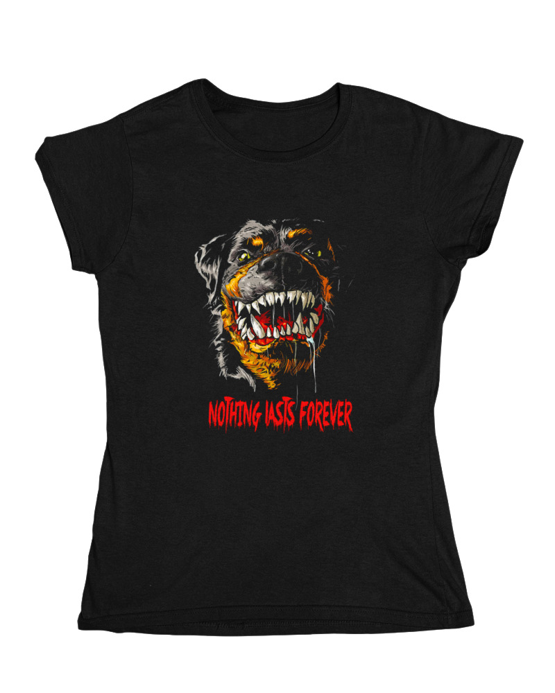 Rottweiler - Image 0