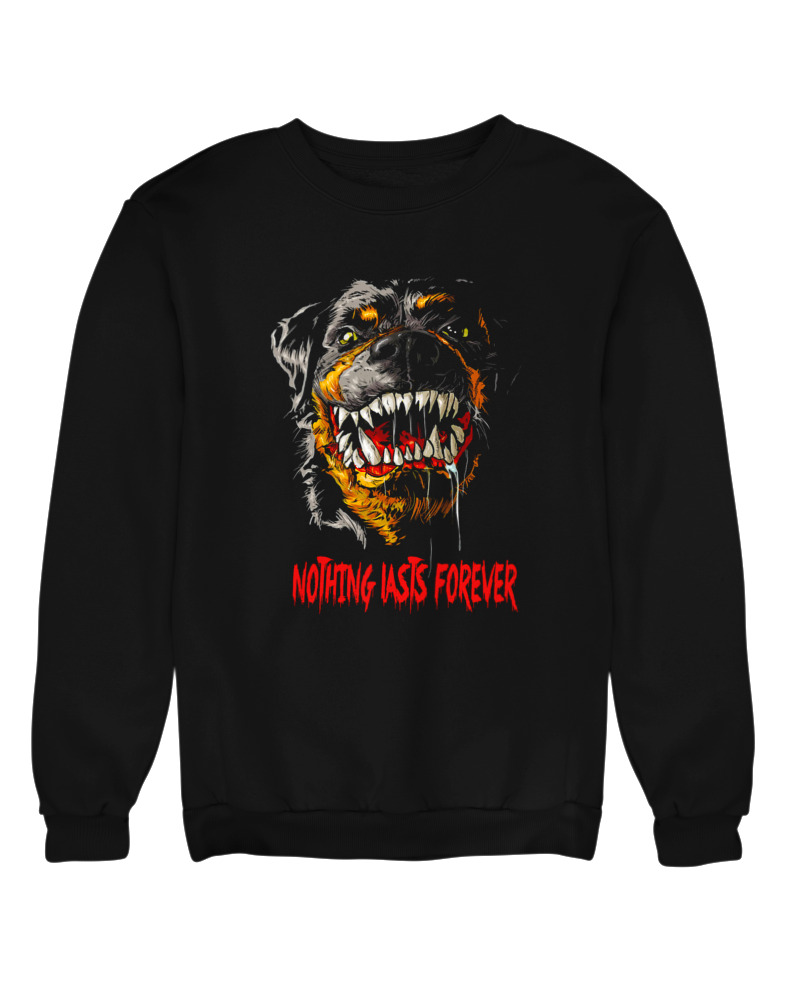 Rottweiler - Image 0