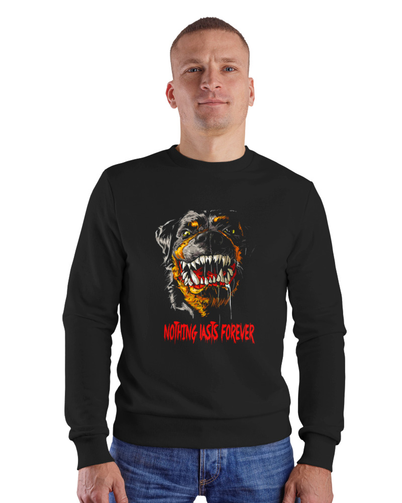 Rottweiler - Image 1