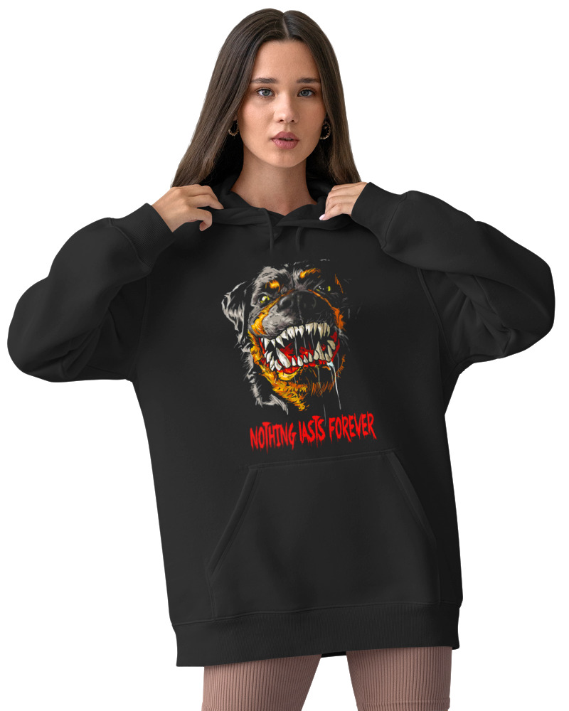 Rottweiler - Image 2