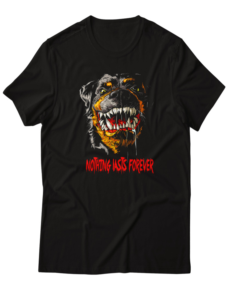 Rottweiler - Image 0