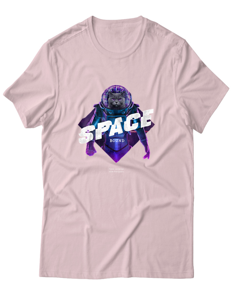 Space Cat Astronaut