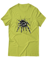 T-Shirt Αντρικό - Spider - Color Thumbnail Λαχανί