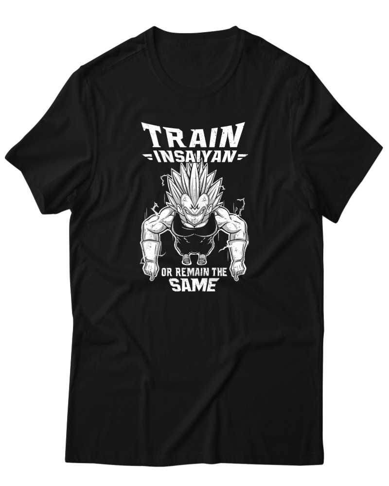 Train Or Remaine The Same - Image 0