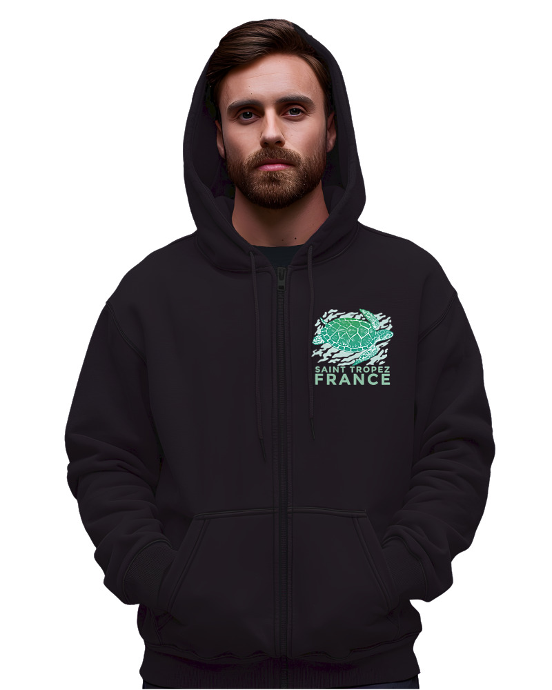 Turtle - Image 1
