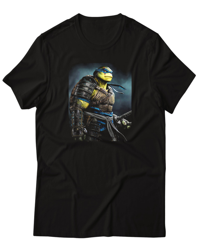 Turtles - Image 0